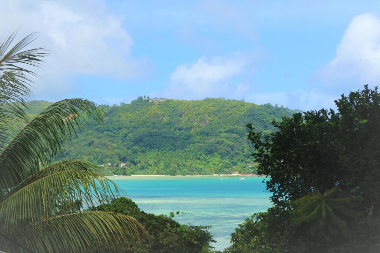 Seychelles Yellow Petals Anse Boileau Buitenkant foto