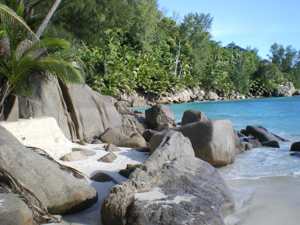 Seychelles Yellow Petals Anse Boileau Buitenkant foto