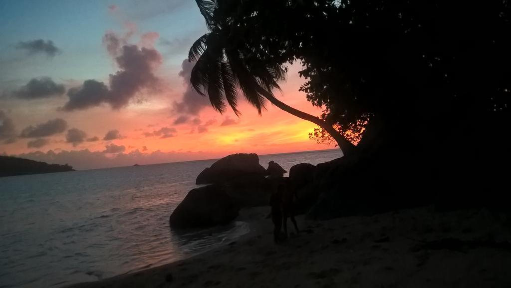 Seychelles Yellow Petals Anse Boileau Buitenkant foto