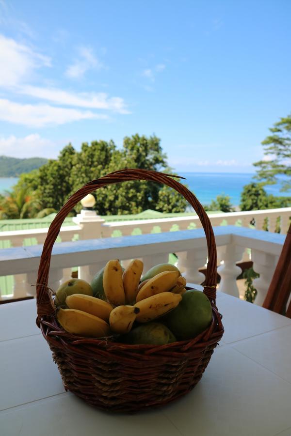 Seychelles Yellow Petals Anse Boileau Buitenkant foto