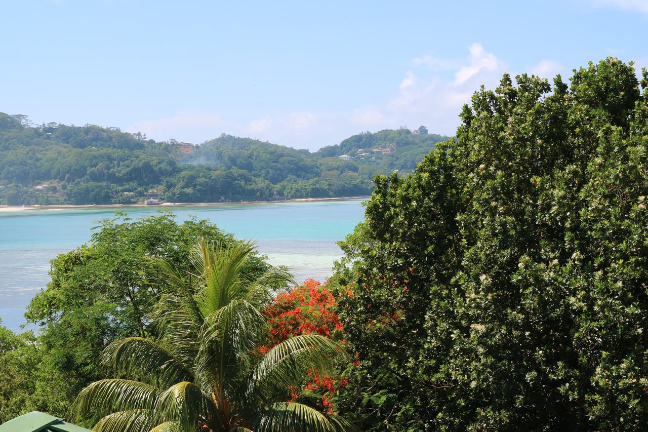 Seychelles Yellow Petals Anse Boileau Buitenkant foto